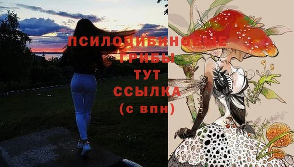 сатива Абаза