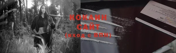 шишки Абдулино