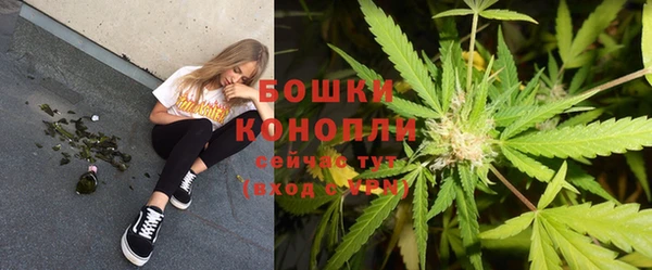 сатива Абаза