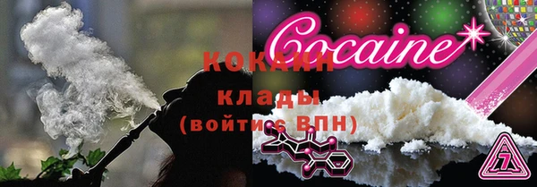сатива Абаза