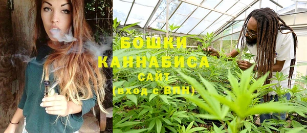 шишки Абдулино