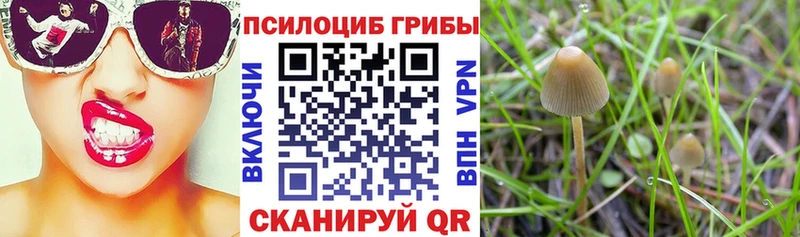 hydra как войти  Ирбит  Галлюциногенные грибы Psilocybine cubensis  купить закладку 